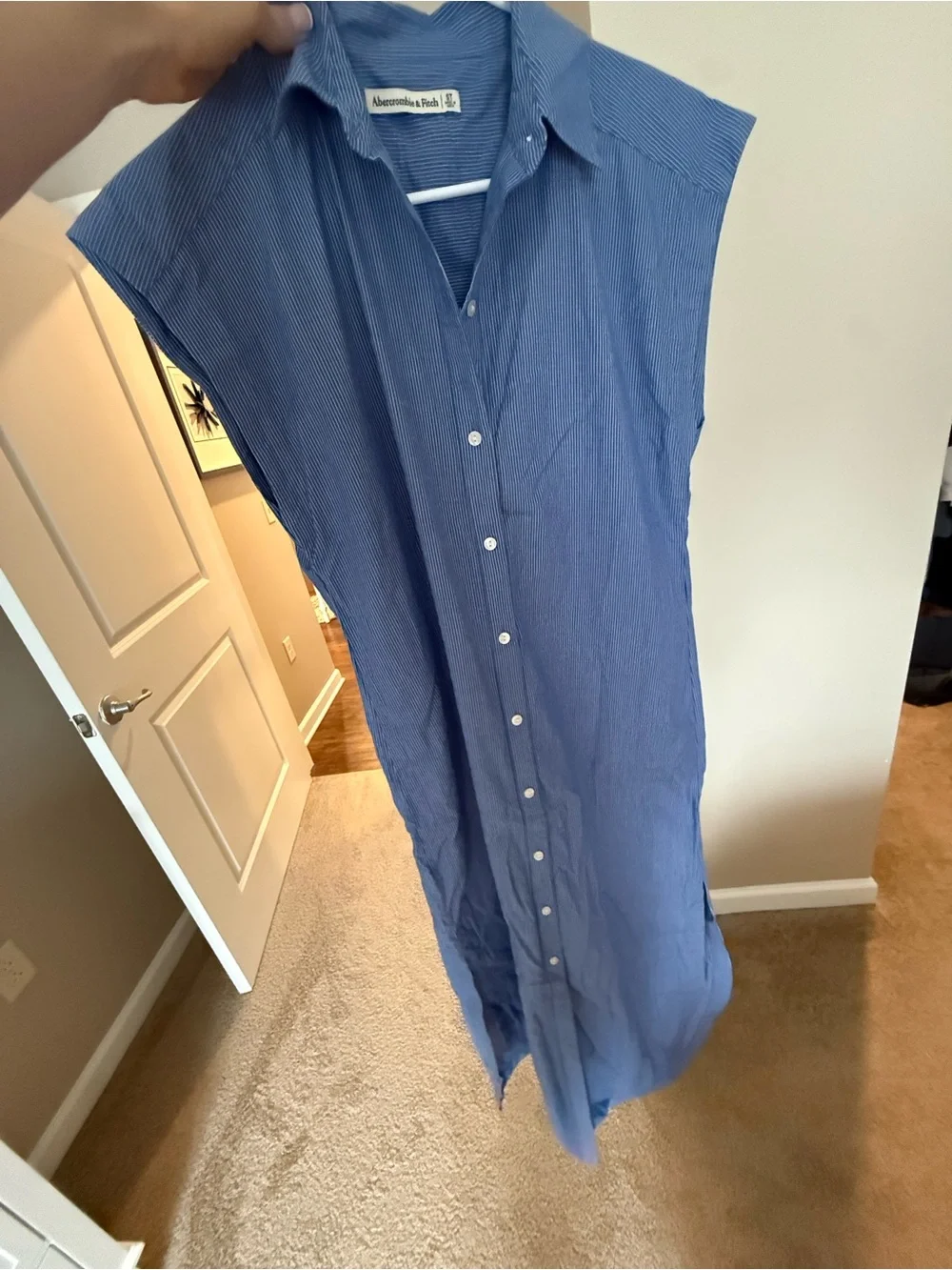 Abercrombie & Fitch Blue Pinstripe Button-Down maxi dress